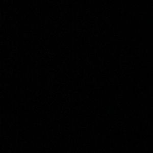 Meet your Posher, Hayden